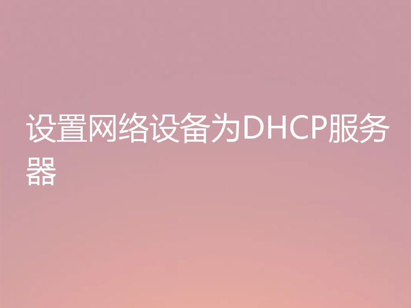 设置网络设备为DHCP服务器
