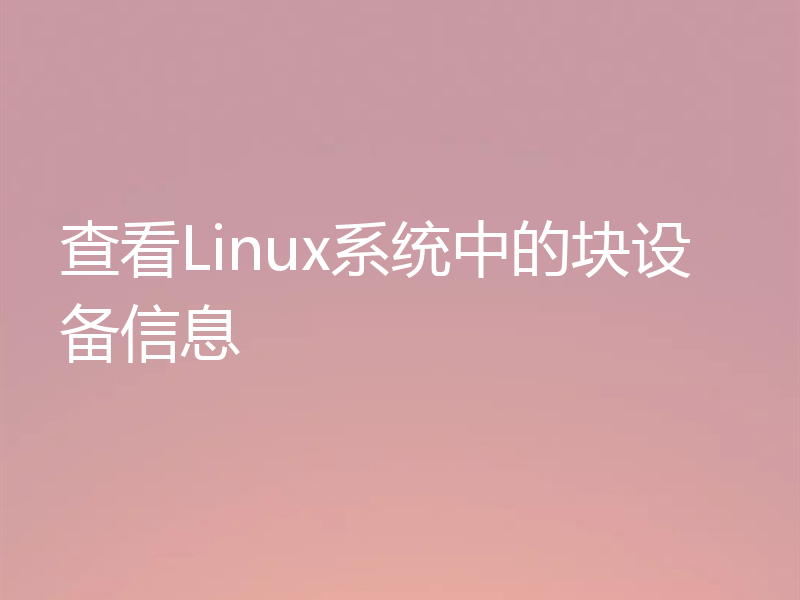 查看Linux系统中的块设备信息