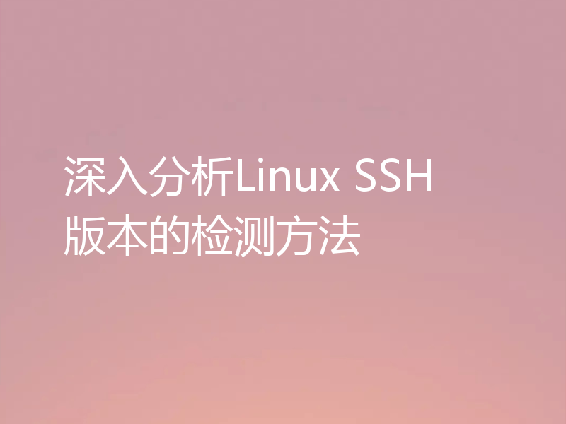 深入分析Linux SSH版本的检测方法