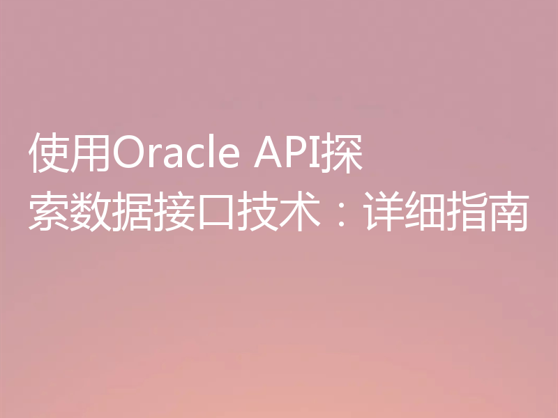 使用Oracle API探索数据接口技术：详细指南