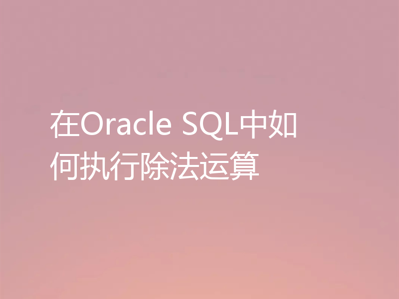 在Oracle SQL中如何执行除法运算