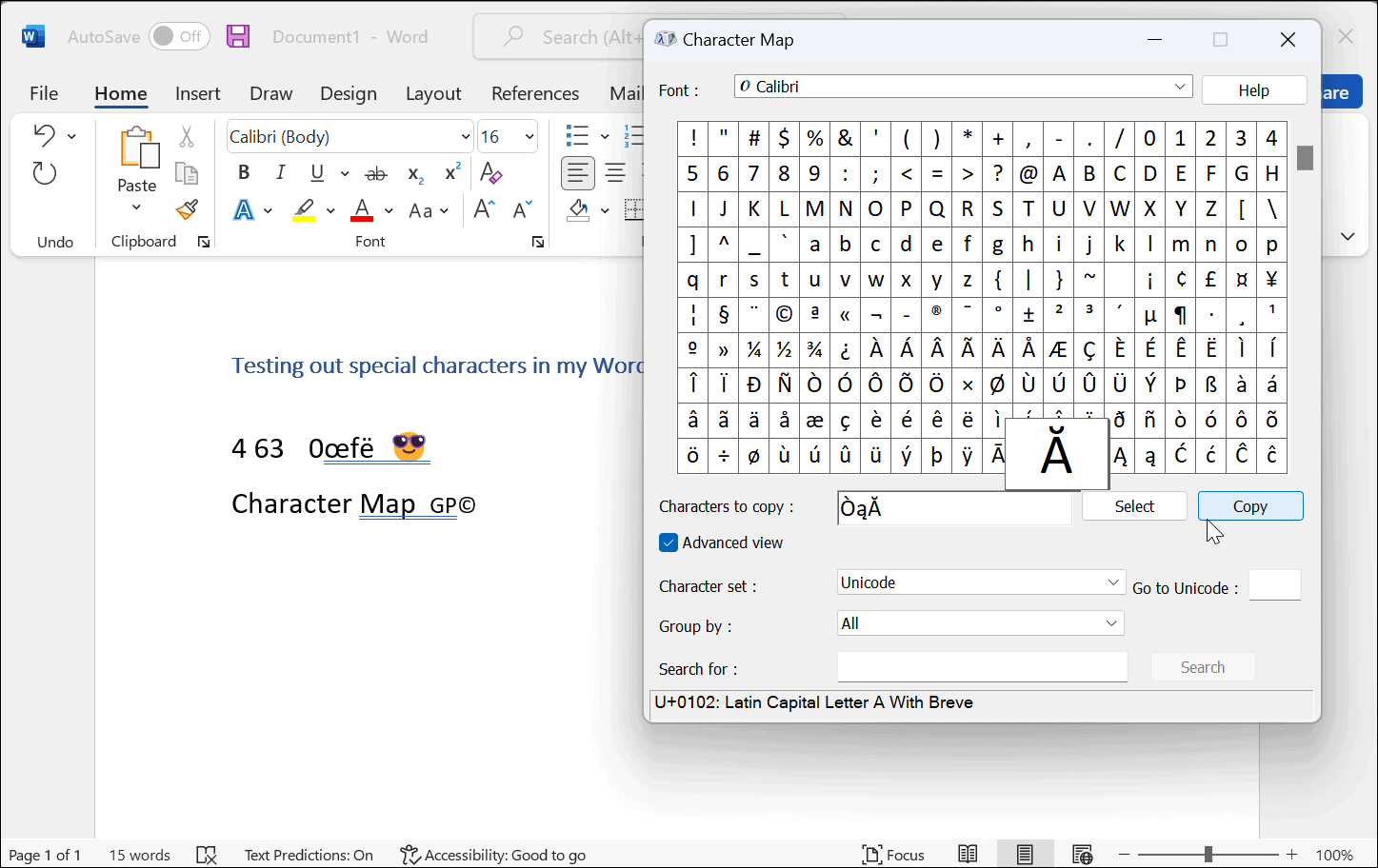 如何在 Windows 11 上键入特殊字符