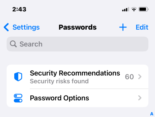 iOS 17：如何在iPhone上恢复已删除的密码