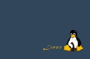 在物理计算机上使用U盘安装Ubuntu Linux