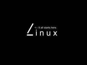 linux系统中的有名管道（FIFO）