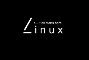 Linux中which,whereis, whatis三者的区别你还不知道?