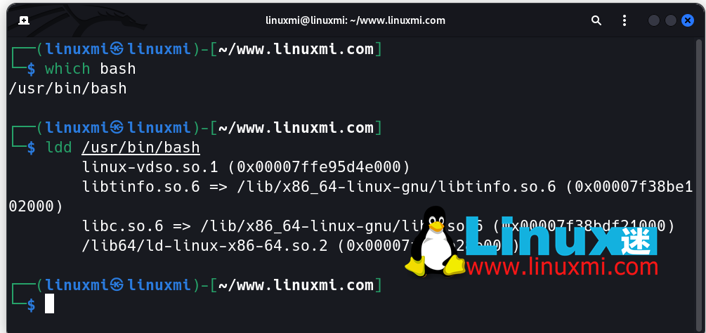 在Linux中如何使用chroot命令在隔离环境中运行和测试应用程序