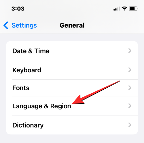 在 iPhone 上更改语言的 3 种方法