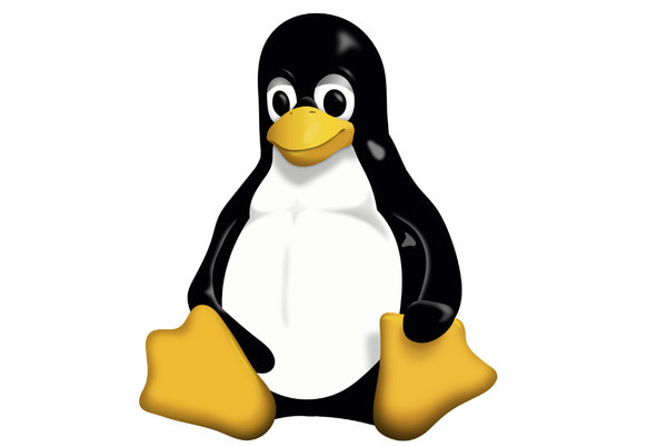 排查和解决Linux网络配置问题