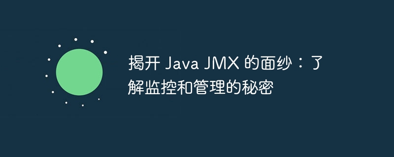 揭开 Java JMX 的面纱：了解监控和管理的秘密