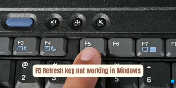 Windows 11中无法使用F5快捷键刷新密钥