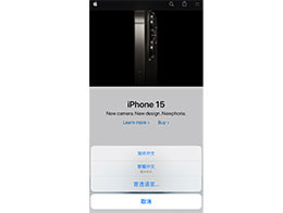 iPhone Safari 浏览器支持多语言网页翻译设置