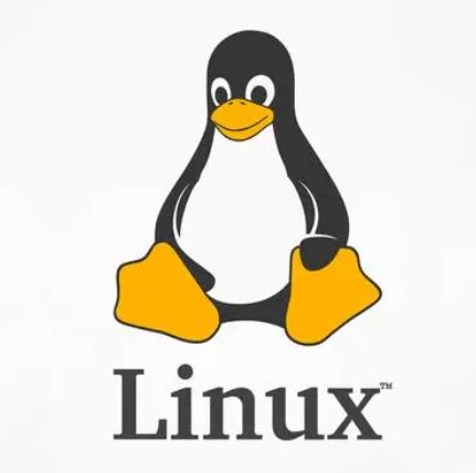 实战：Linux上硬盘io读写测试