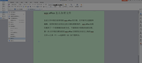 如何在wps office中对文件进行加密-在wps office中加密文件的步骤