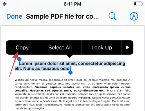 三种在 iPhone 上提取 PDF 文本的方法