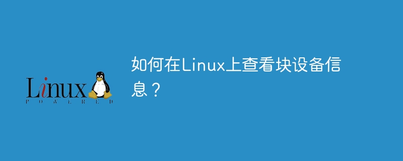 在Linux环境下如何查看块设备信息？
