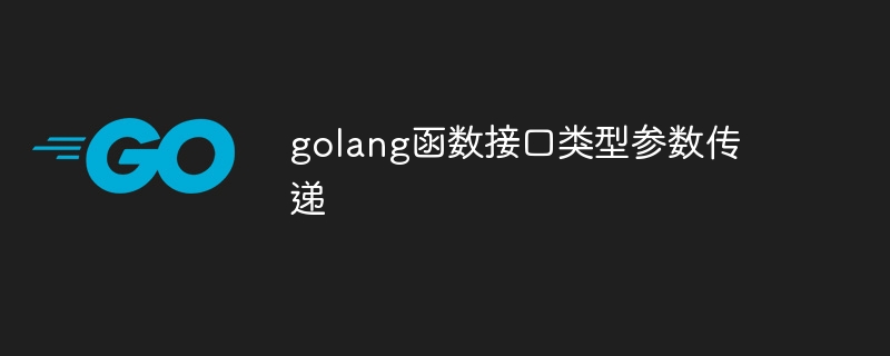 golang函数接口类型参数传递