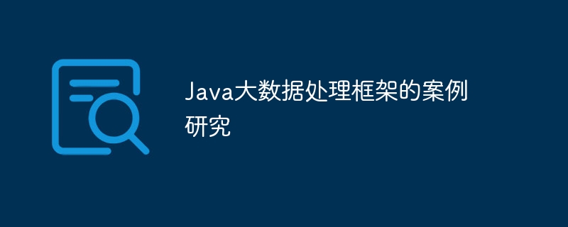 Java大数据处理框架的案例研究