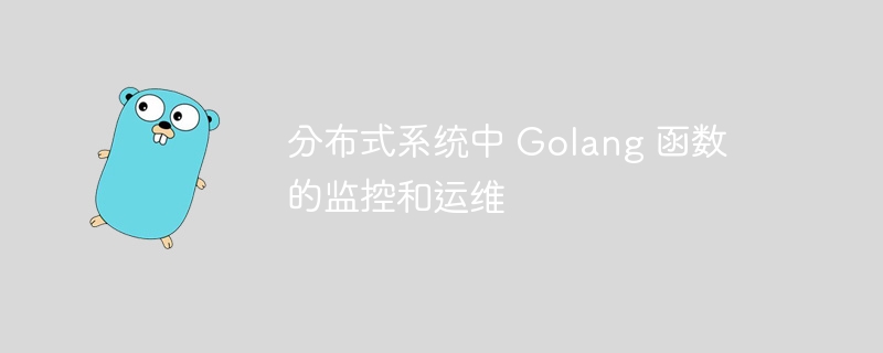 分布式系统中 Golang 函数的监控和运维