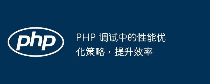 PHP 调试中的性能优化策略，提升效率