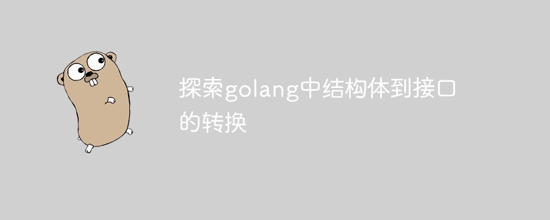 探索golang中结构体到接口的转换