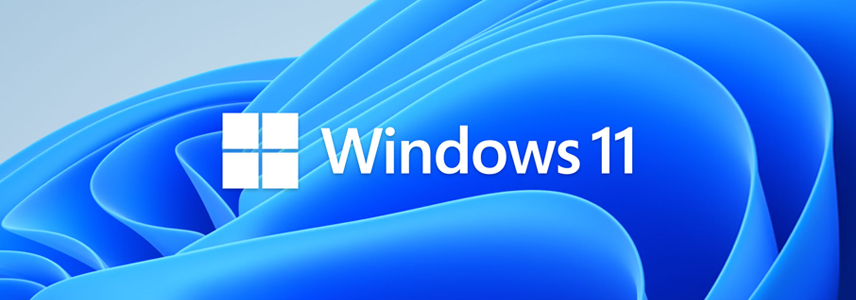 如何在 Windows 11 中获取帮助