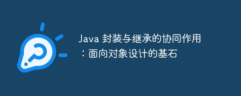 Java 封装与继承的协同作用：面向对象设计的基石