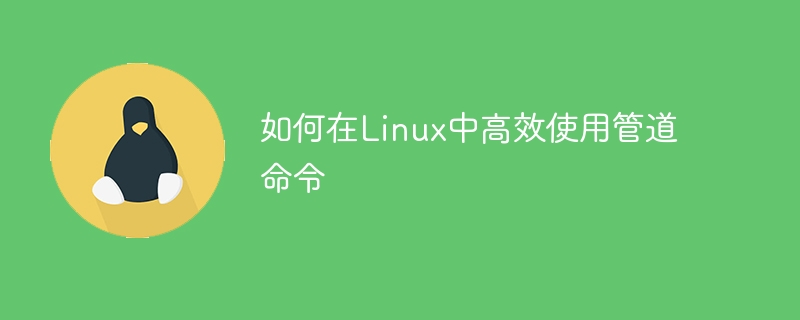 Linux管道命令的高效应用技巧