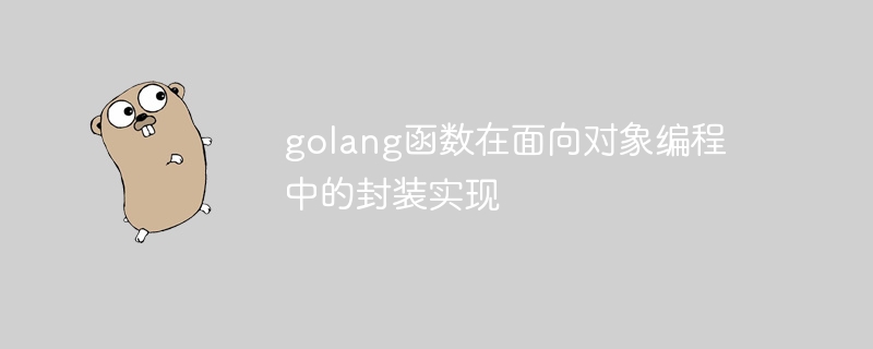golang函数在面向对象编程中的封装实现