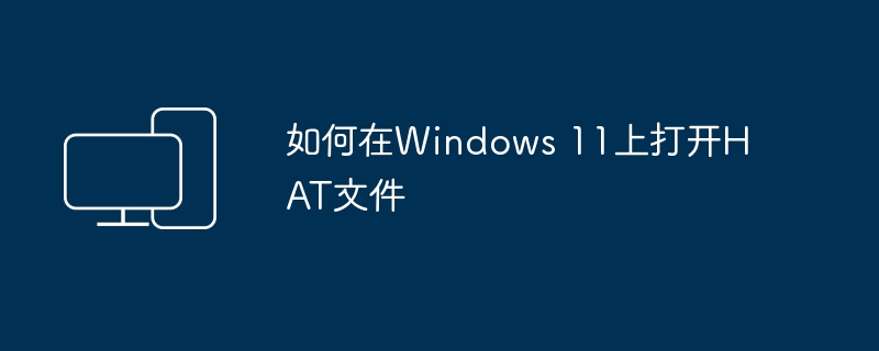 在Windows 11中如何启动HAT文件
