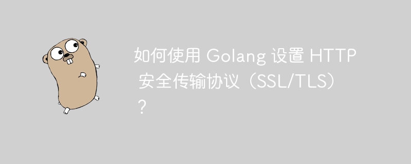 如何使用 Golang 设置 HTTP 安全传输协议（SSL/TLS）？