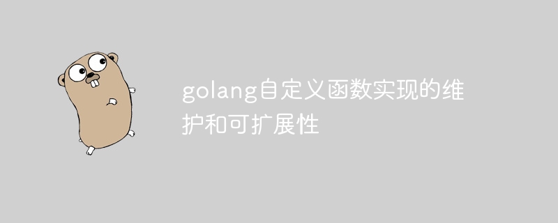 golang自定义函数实现的维护和可扩展性