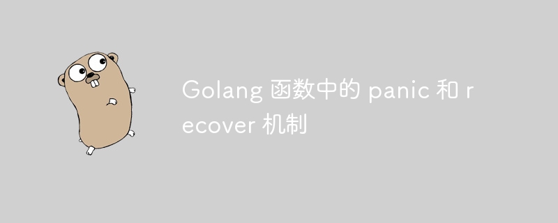 Golang 函数中的 panic 和 recover 机制