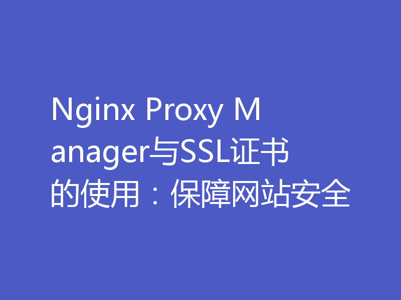 Nginx Proxy Manager与SSL证书的使用：保障网站安全