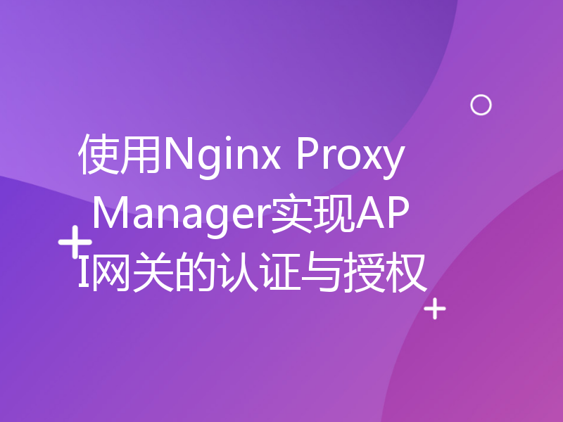使用Nginx Proxy Manager实现API网关的认证与授权
