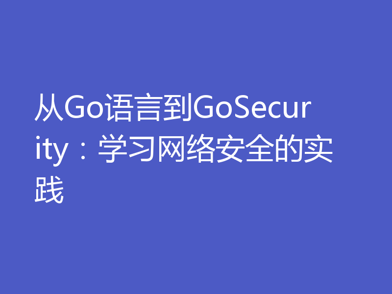 从Go语言到GoSecurity：学习网络安全的实践