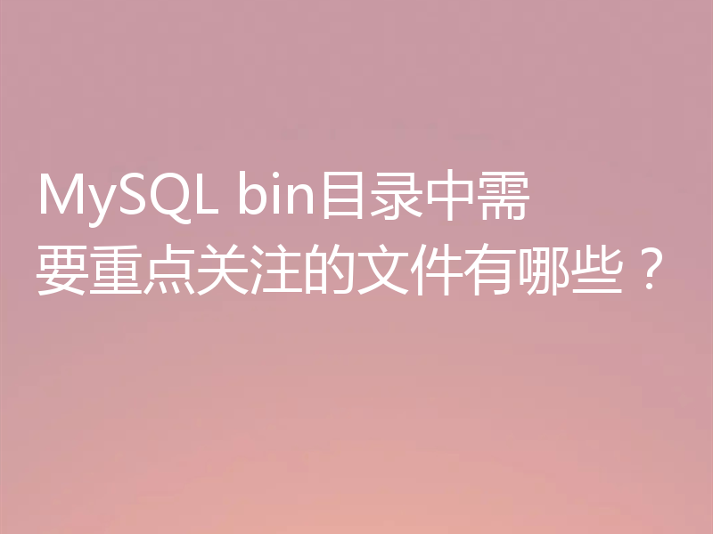MySQL bin目录中需要重点关注的文件有哪些？