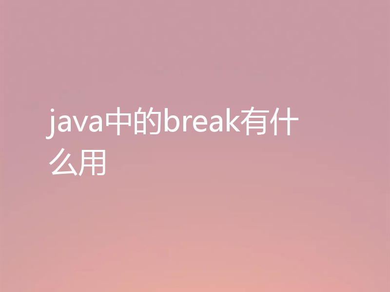 java中的break有什么用