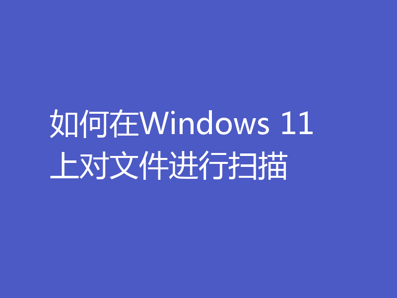 如何在Windows 11上对文件进行扫描