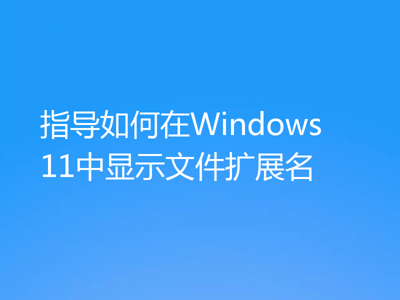 指导如何在Windows 11中显示文件扩展名