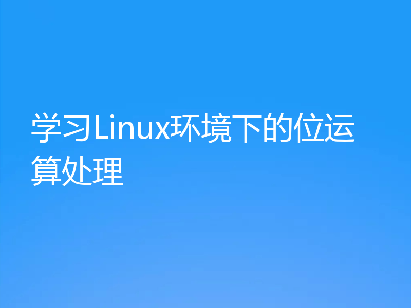 学习Linux环境下的位运算处理