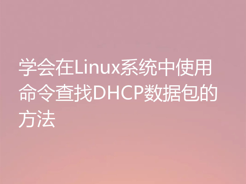 学会在Linux系统中使用命令查找DHCP数据包的方法