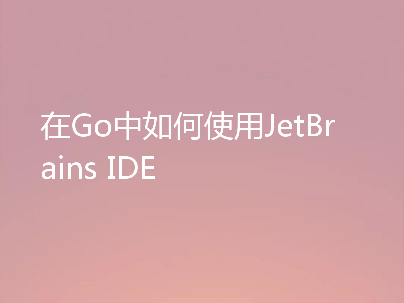 在Go中如何使用JetBrains IDE