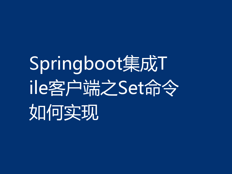 Springboot集成Tile客户端之Set命令如何实现