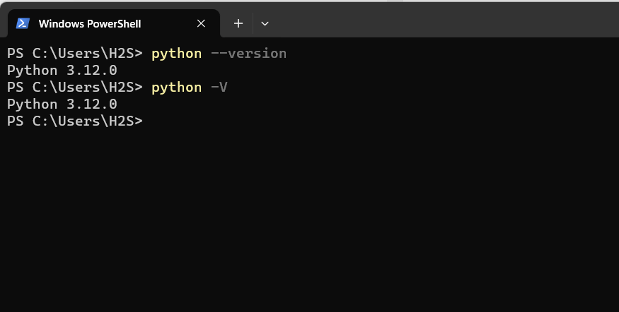 验证 Python 安装的多种方法 Windows 11