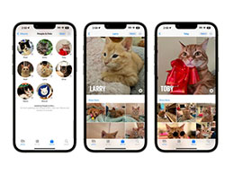 iOS 17 照片应用改进：更准确地识别人物和猫狗宠物