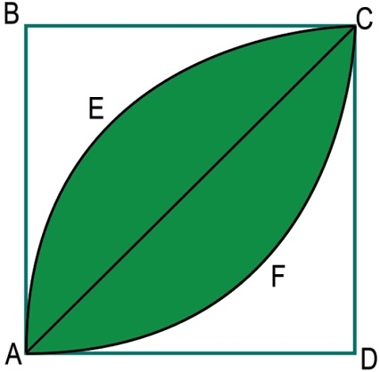 叶子在一个正方形内的面积是多少？