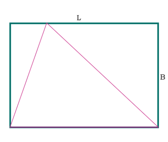 在C程序中，将以下内容翻译为中文：能够嵌入矩形内的最大三角形的面积？