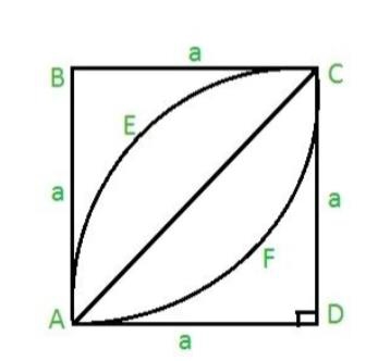 在C程序中计算一个正方形内叶子的面积
