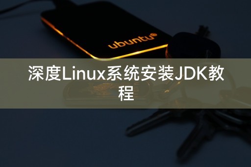 详细指南：在Linux系统上安装JDK